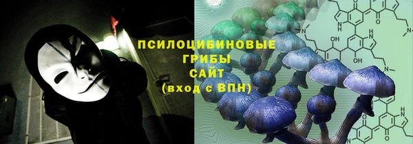 spice Армянск