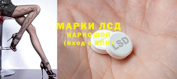 стафф Аркадак